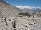 Valle Elqui