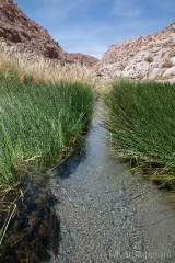 Atacamaöknen