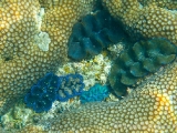 img_1864.jpg