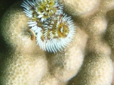 img_1928.jpg