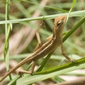 _mg_4642.jpg