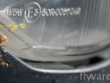 Smashed mosquito