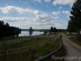 _mg_9388.jpg