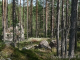 _mg_9401.jpg