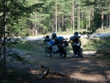 _mg_9431.jpg