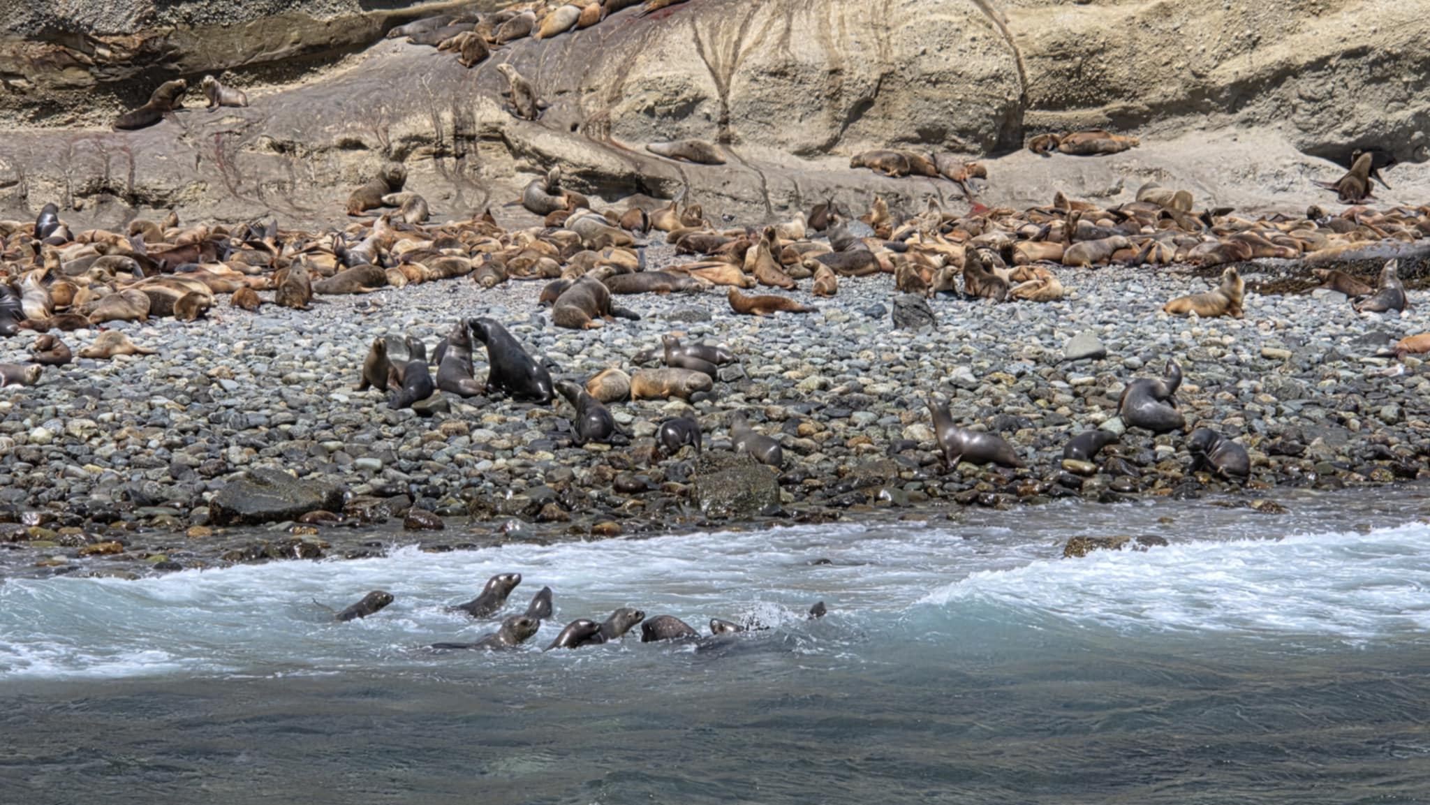 att.ZdyahZ6fAEHITXjeL9qdoOgI3gd0f9xuClqg4GbThiU